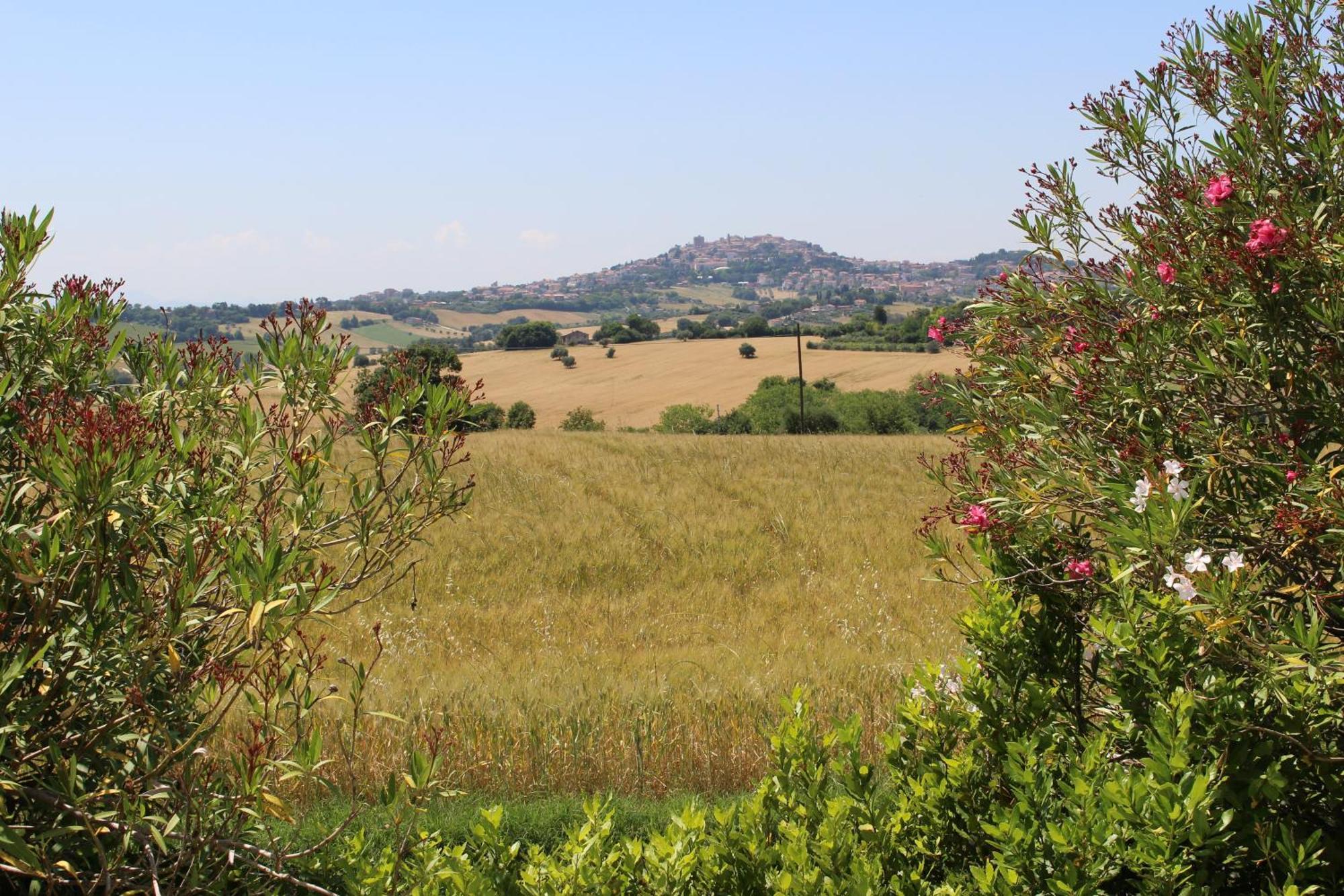 Villa Belvedere Degli Ulivi Osimo Extérieur photo