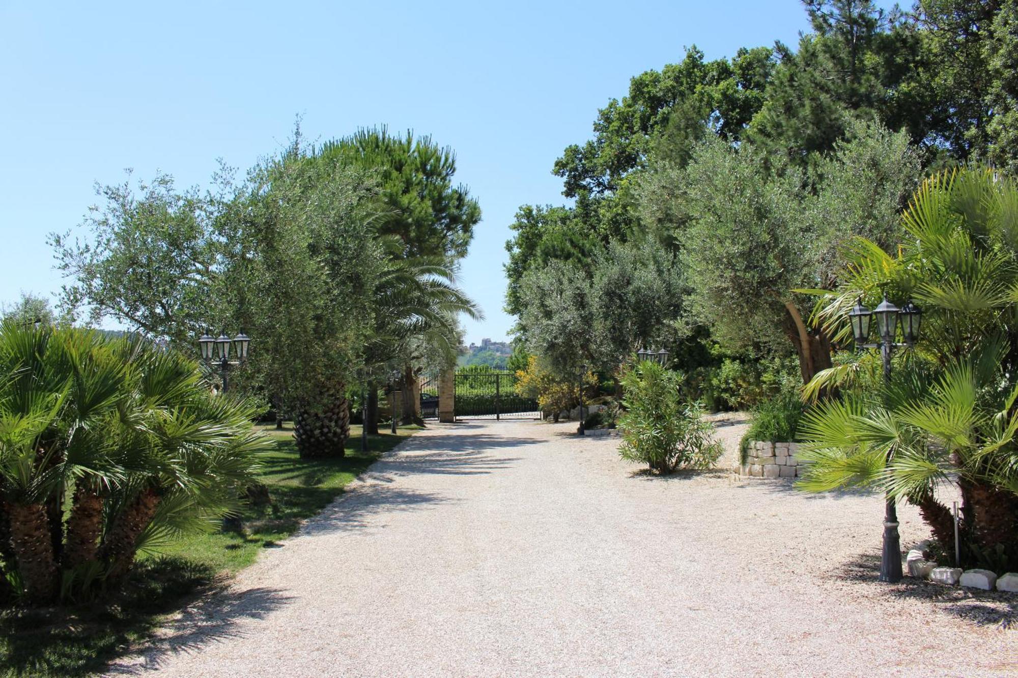 Villa Belvedere Degli Ulivi Osimo Extérieur photo