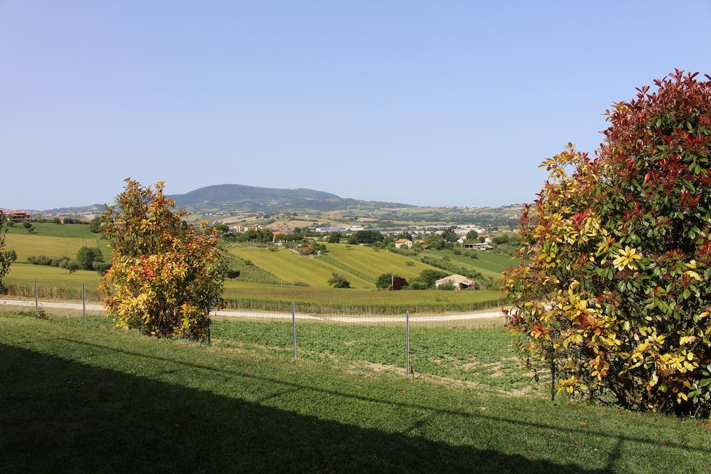 Villa Belvedere Degli Ulivi Osimo Extérieur photo